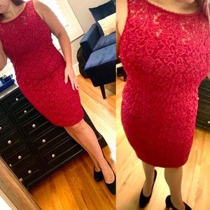WHBM  NWT red lace cocktail dress  SZ 8